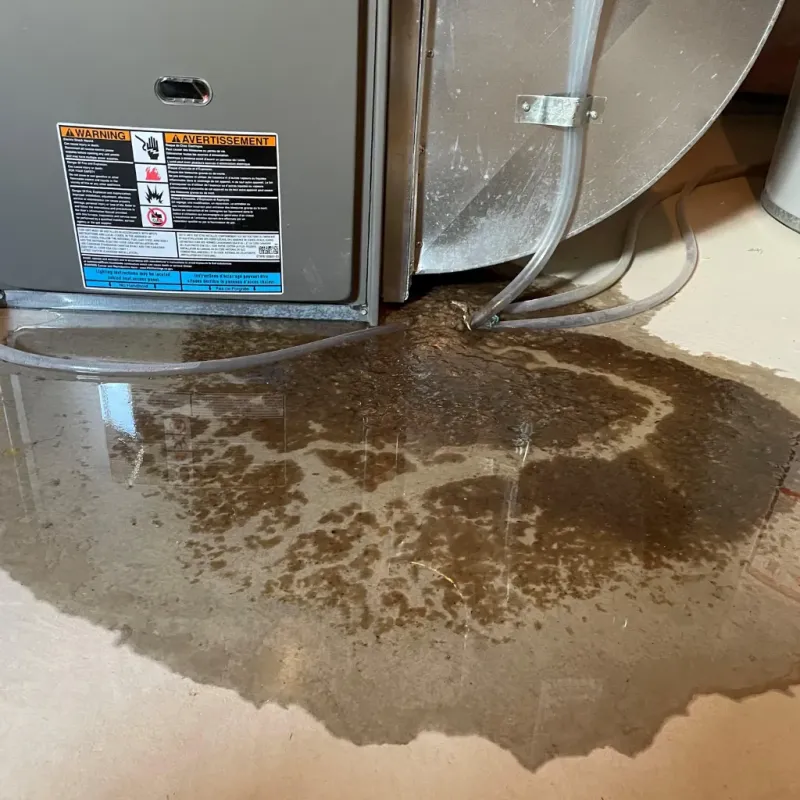 Appliance Leak Cleanup in Coosa County, AL